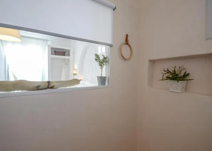 Akrolithos Στελίδα